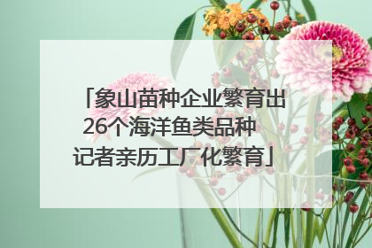 象山苗种企业繁育出26个海洋鱼类品种 记者亲历工厂化繁育