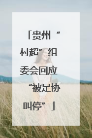 贵州“村超”组委会回应“被足协叫停”