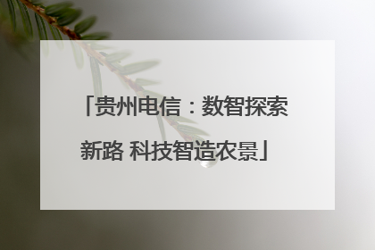 贵州电信：数智探索新路 科技智造农景