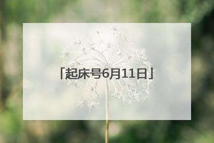 起床号6月11日