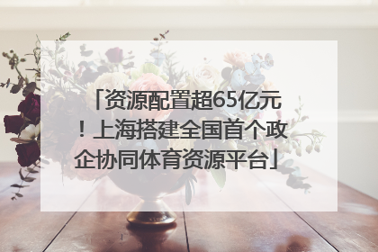 资源配置超65亿元！上海搭建全国首个政企协同体育资源平台