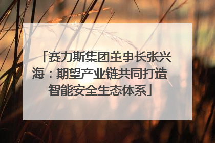 赛力斯集团董事长张兴海：期望产业链共同打造智能安全生态体系