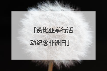 赞比亚举行活动纪念非洲日