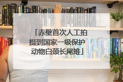 赤壁首次人工拍摄到国家一级保护动物白颈长尾雉