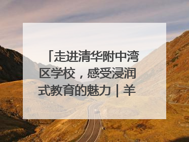走进清华附中湾区学校，感受浸润式教育的魅力｜羊城名校行