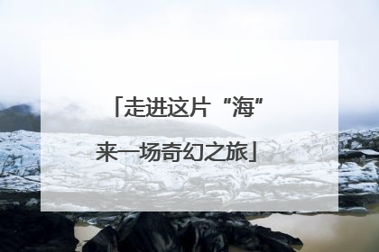 走进这片“海”来一场奇幻之旅