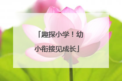 趣探小学！幼小衔接见成长
