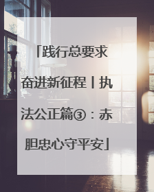 践行总要求 奋进新征程丨执法公正篇③：赤胆忠心守平安