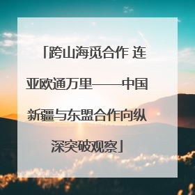 跨山海觅合作 连亚欧通万里——中国新疆与东盟合作向纵深突破观察
