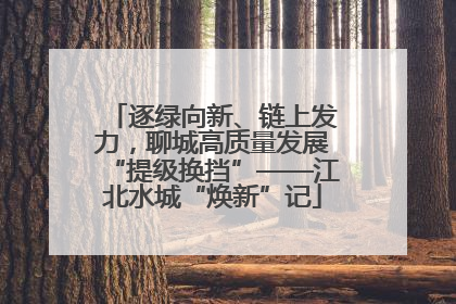 逐绿向新、链上发力，聊城高质量发展“提级换挡”——江北水城“焕新”记
