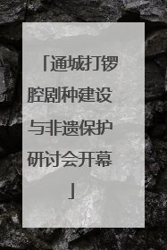 通城打锣腔剧种建设与非遗保护研讨会开幕