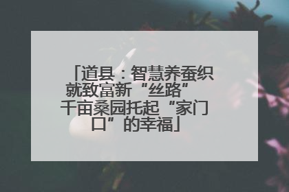 道县：智慧养蚕织就致富新“丝路” 千亩桑园托起“家门口”的幸福