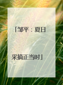 邹平：夏日采摘正当时