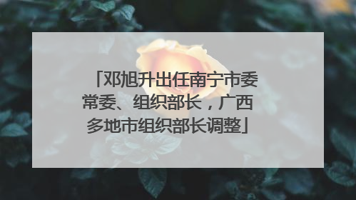 邓旭升出任南宁市委常委、组织部长，广西多地市组织部长调整