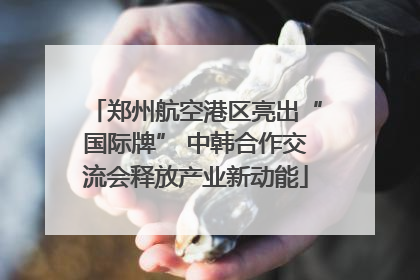 郑州航空港区亮出“国际牌” 中韩合作交流会释放产业新动能