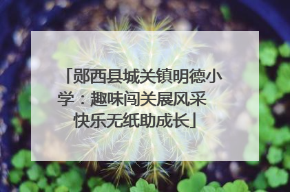 郧西县城关镇明德小学：趣味闯关展风采 快乐无纸助成长