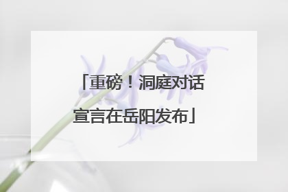 重磅！洞庭对话宣言在岳阳发布