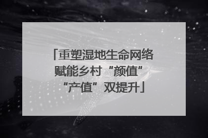重塑湿地生命网络 赋能乡村“颜值”“产值”双提升