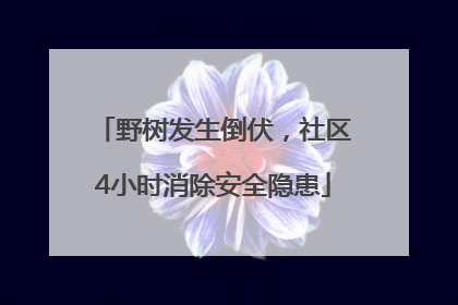 野树发生倒伏，社区4小时消除安全隐患
