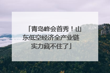 青岛峰会首秀！山东低空经济全产业链实力藏不住了