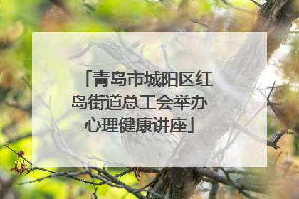 青岛市城阳区红岛街道总工会举办心理健康讲座