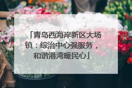 青岛西海岸新区大场镇：综治中心强服务，和谐港湾暖民心