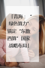青海：“绿色算力”锚定“东数西算”国家战略布局