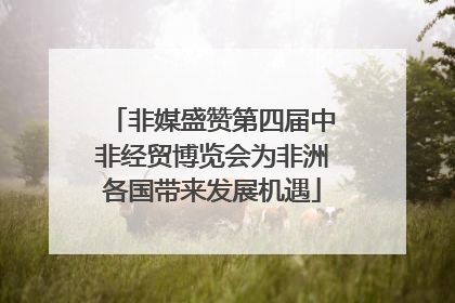 非媒盛赞第四届中非经贸博览会为非洲各国带来发展机遇