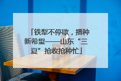 铁犁不停歇，播种新希望——山东“三夏”抢收抢种忙