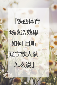 铁西体育场改造效果如何 且听辽宁铁人队怎么说