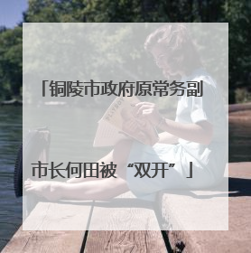 铜陵市政府原常务副市长何田被“双开”