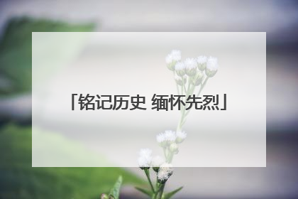 铭记历史 缅怀先烈