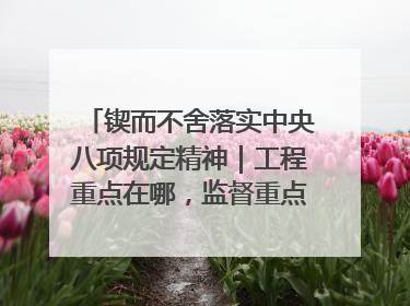 锲而不舍落实中央八项规定精神｜工程重点在哪，监督重点就在哪——广西深化政治监督护航平陆运河建设
