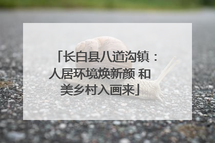 长白县八道沟镇：人居环境焕新颜 和美乡村入画来