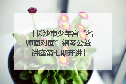 长沙市少年宫“名师面对面”钢琴公益讲座第七期开讲