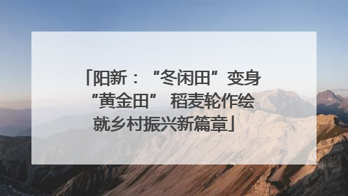 阳新：“冬闲田”变身“黄金田” 稻麦轮作绘就乡村振兴新篇章