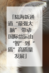 陆海新通道“最强大脑” 带动国际货运由“智”到“质”高质量发展
