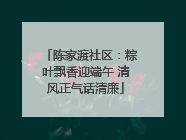陈家渡社区：粽叶飘香迎端午 清风正气话清廉