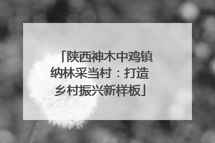 陕西神木中鸡镇纳林采当村：打造乡村振兴新样板