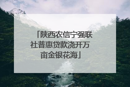 陕西农信宁强联社普惠贷款浇开万亩金银花海