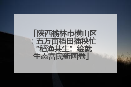 陕西榆林市横山区：五万亩稻田插秧忙 “稻渔共生”绘就生态富民新画卷