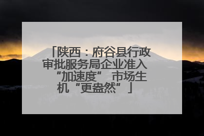 陕西：府谷县行政审批服务局企业准入“加速度” 市场生机“更盎然”