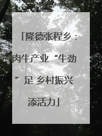 隆德张程乡：肉牛产业“牛劲”足 乡村振兴添活力