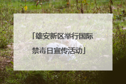 雄安新区举行国际禁毒日宣传活动
