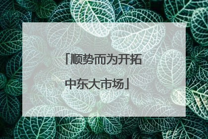 顺势而为开拓中东大市场