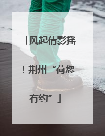 风起倩影摇！荆州“荷您有约”