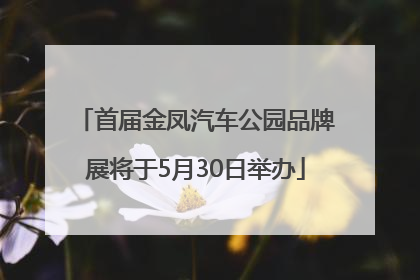 首届金凤汽车公园品牌展将于5月30日举办