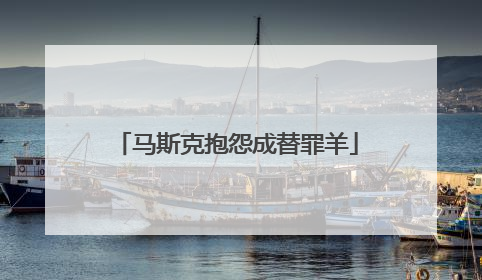 马斯克抱怨成替罪羊
