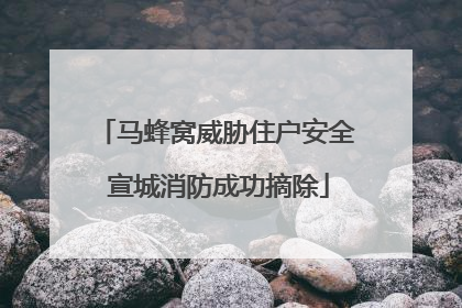 马蜂窝威胁住户安全 宣城消防成功摘除