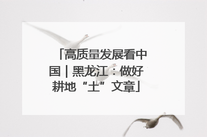 高质量发展看中国｜黑龙江：做好耕地“土”文章